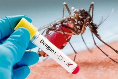 Dengue’ cases rise in a ‘Week
