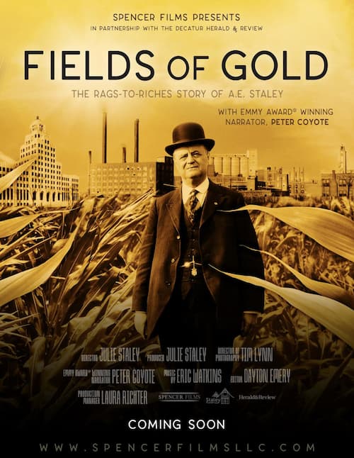 Fields of Gold 