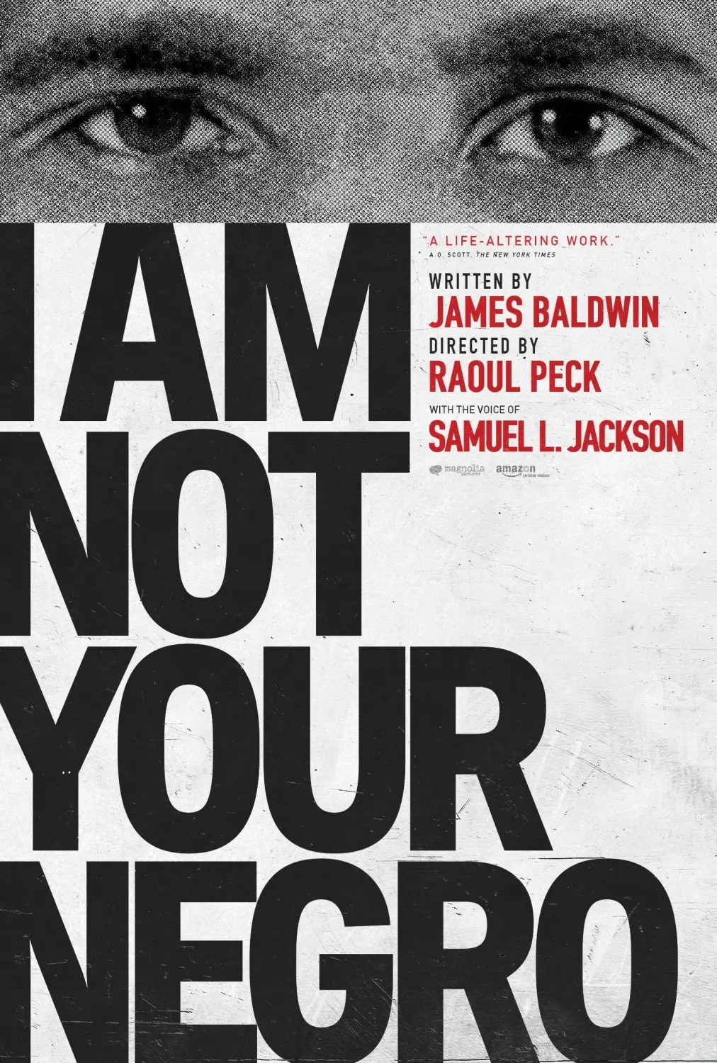 I Am Not Your Negro (Writer) (2016)
