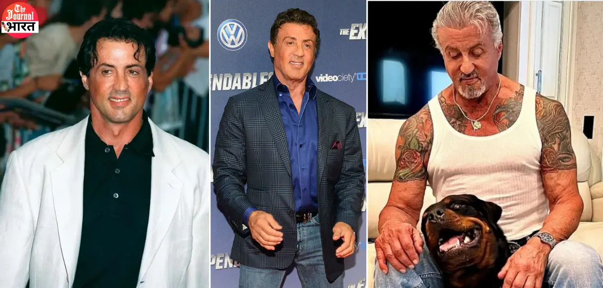 Sylvester Stallone Net Worth 2024, Wealth & Monthly