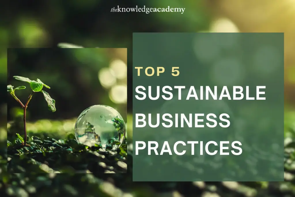 Top 5 Sustainable Business Practices 