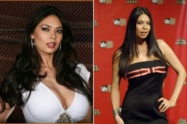 Tera Patrick Net Worth: Biography, Earnings, Career Highlights & Wealth Sources 4 Tera Patrick Earnings