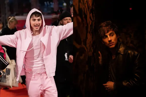 Timothée Chalamet Bio: Early Life, Career and Social Media