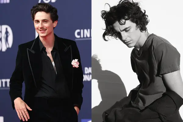 Timothée Chalamet Career