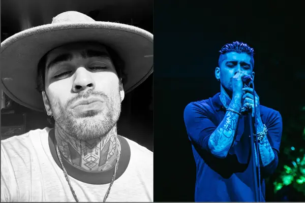 Zayn Malik Net Worth 2025: Real Salary, Assets, and Investments Breakdown 3 Zayn Malik Early Life