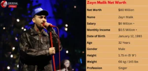 Zayn Malik Net Worth 2025: Real Salary, Assets, and Investments Breakdown